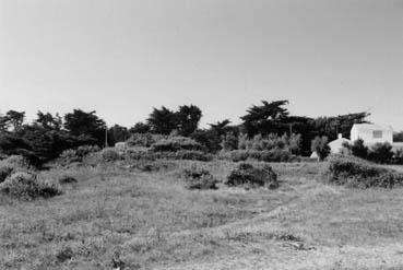 Iconographie - Plage des Roses