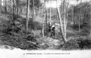 Iconographie - Le sentier des amoureux dans la forêt