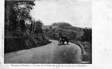 Iconographie - Le bois de la Folie, vue prise de la route de la Flocellière