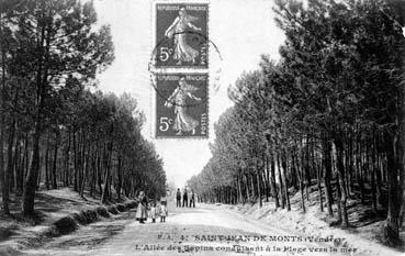 Iconographie - Allée des sapins conduisant à la plage vers la mer