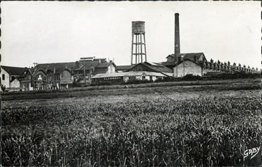 Iconographie - Vue générale de l'usine de conserves, près de la gare