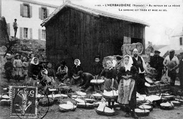 Iconographie - Au retour de la pêche, la sardine est triée et mise au sel