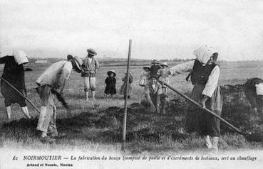 Iconographie - La fabrication des bouzas (composé de paille et d'excréments de bestiaux)