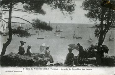 Iconographie - Un coin du sous-bois des Dames