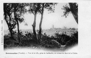 Iconographie - Vue de la ville, prise de Gaillardin..