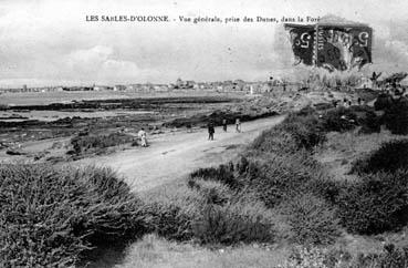 Iconographie - Vue générale prise des dunes, dans la forêt