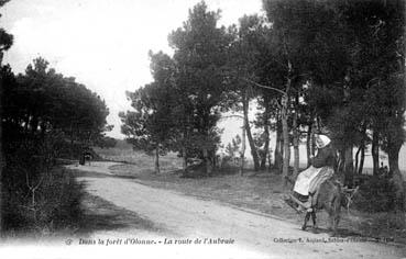 Iconographie - Dans la forêt d'Olonne - La route de l'Aubraie