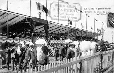 Iconographie - Au champ de course - Les tribunes