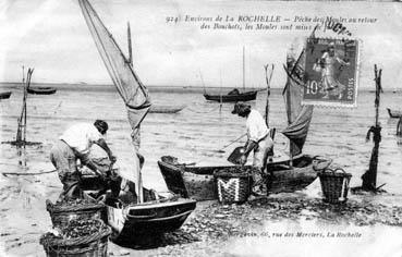 Iconographie - Pêche des moules au retour des bouchots