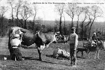 Iconographie - Scène de la vie Normande - Visite à la ferme