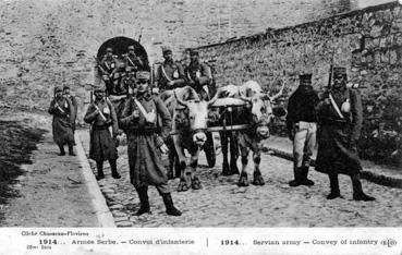 Iconographie - 1914 - Armée Serbe - Convoi d'infanterie