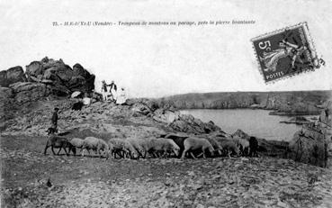 Iconographie - Troupeau de mouton au pacage, près la pierre branlante