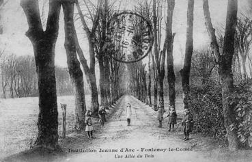 Iconographie - Institution Jeanne-d'Arc - Une allée du bois