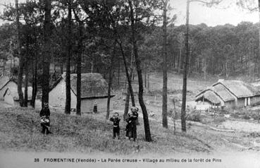 Iconographie - La Parée Creuse - Village au milieu de la forêt de pins