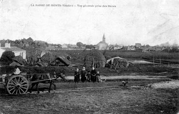 Iconographie - Vue générale prise des dunes