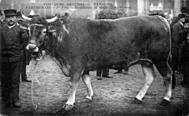 Iconographie - Concours général - Paris 1911 - Parthenais