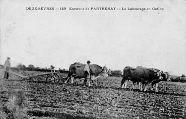 Iconographie - Environ de Parthenay - Le labourage en Gâtine