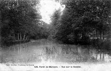 Iconographie - Forêt de Mervent - Vue sur la Vendée