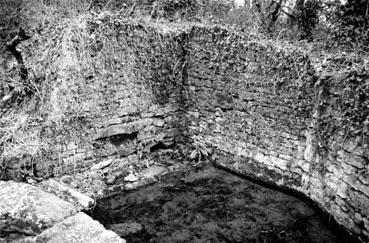 Iconographie - Fontaine, lavoir à la Guintière