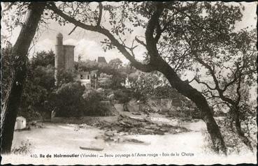 Iconographie - Beau paysage à l'Anse Rouge - Bois de la Chaize