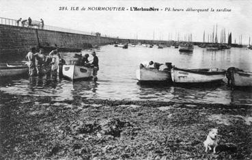 Iconographie - L'Herbaudière - Pêcheurs débarquant la sardine