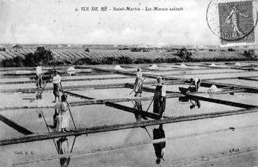 Iconographie - Ile-de-Ré - Saint-Martin - Les marais salants