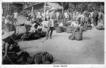 Iconographie - Durian market