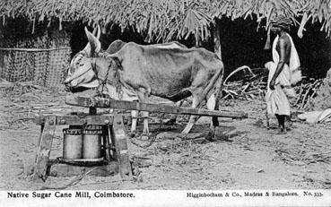 Iconographie - Nature sugar canne mill, Coimbatore