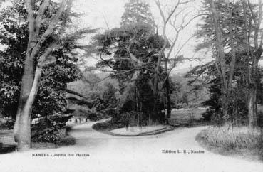 Iconographie - Jardin des Plantes