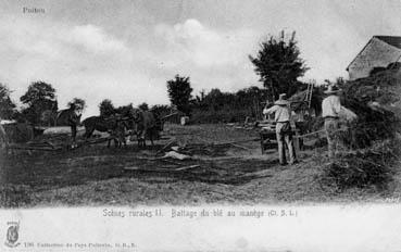 Iconographie - Scène rurale II. Battage du blé au manège