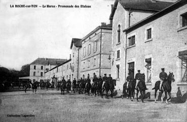 Iconographie - Le haras - Promenade des étalons