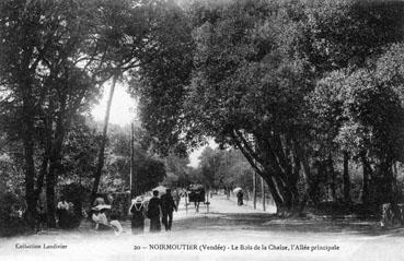 Iconographie - Le Bois de la Chaize, l'allée principale