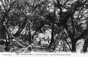 Iconographie - Le Bois de la Chaize à l'arrivée