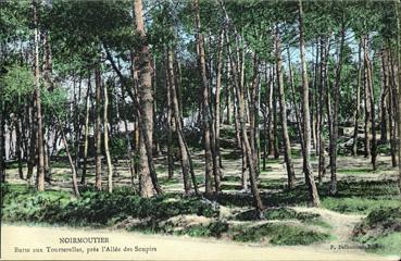 Iconographie - Butte aux Tourterelles, près l'allée des Soupirs