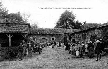 Iconographie - Tondeuse de mouton boupériennes