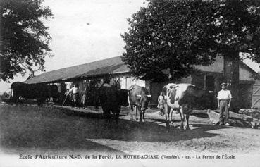 Iconographie - Ecole d'Agriculture de la Mothe-Achard - La ferme de l'école