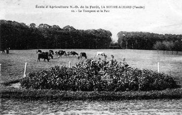 Iconographie - Ecole d'Agriculture Notre-Dame de la Forêt - Le troupeau et le parc