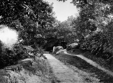 Iconographie - Vieux chemin de Pouzauges à la Pommeraie