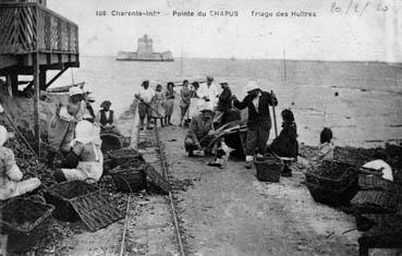 Iconographie - Pointe de Chapus - Triage des huîtres