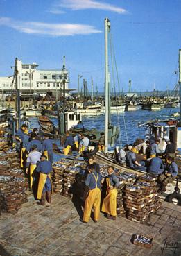 Iconographie - Débarquement de la sardine. Au fond, la criée