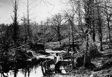 Iconographie - Vue prise aux Deux-Eaux de la Grignonnière