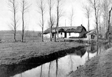 Iconographie - La bourrine dite "à Rosalie"