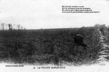 Iconographie - La Vendée maraîchine -  Mé tant pé cantre man pé