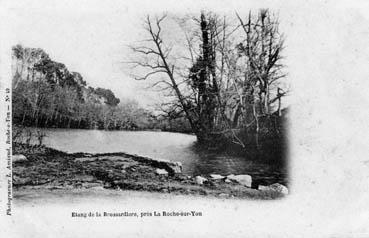 Iconographie - Etang de la Brossardière, près La Roche-sur-Yon