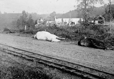 Iconographie - La ferme de Mongarny