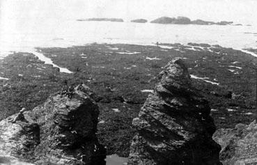 Iconographie - Les rochers de la corniche à marée basse, vus de Pill'Hours