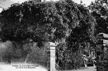 Iconographie - Château de La Caillère - La vieille tour Rabasteau