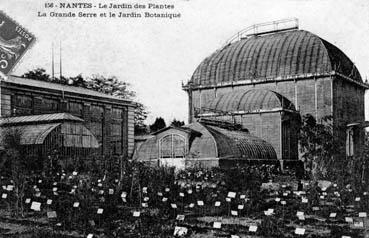 Iconographie - Le Jardin des Plantes - La grande serre et le jardin botanique