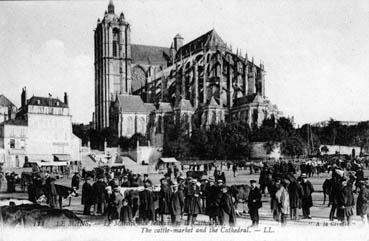 Iconographie - Le marché aux bestiaux et la cathédrale