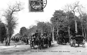 Iconographie - Bois de Boulogne - L'avenue des Acacias